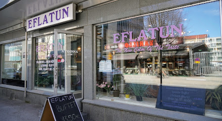 EFLATUN