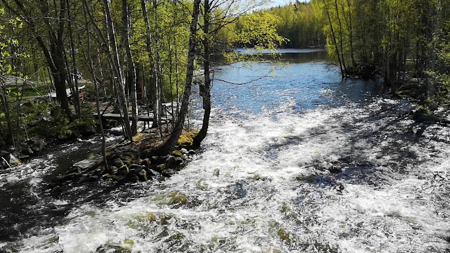 Piippu Terassikahvila, Vihavuosi