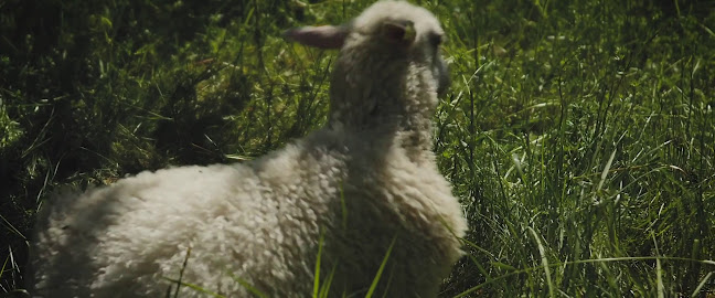 Opinii despre Tackork Gård & Marina în Nauvo - Ravintola-ala