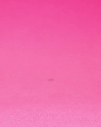 Naughty BRGR Lönkka