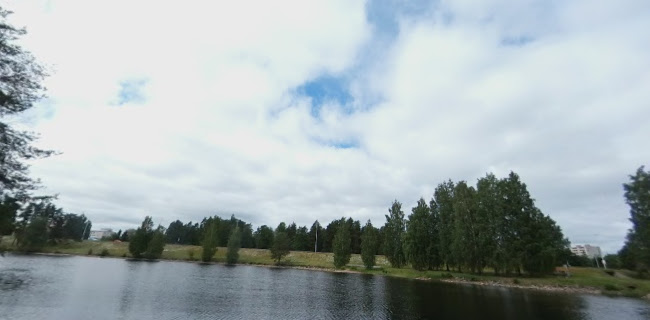 Comentarii opinii despre Vuoksen Kalastuspuisto