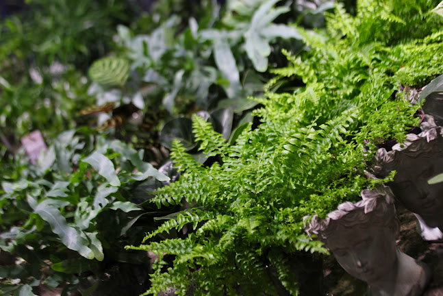 Maariankatu 3b, 20100 Turku