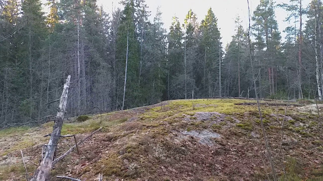 Opinii despre Pitkäkosken ulkoilumaja în Helsinki - Ravintola-ala