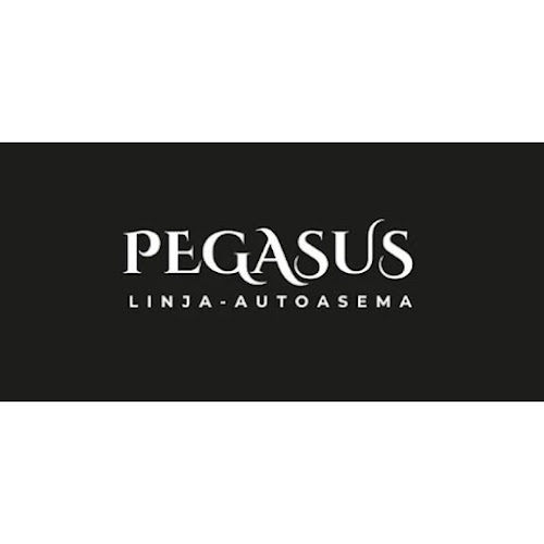 Comentarii opinii despre Pegasus Linja-autoasema