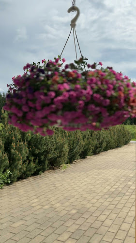 Lievestuoreen Liisantie 15, 41400 Laukaa