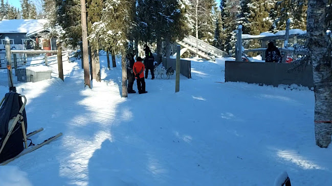 Lammintuvantie 9, 93830 Rukatunturi