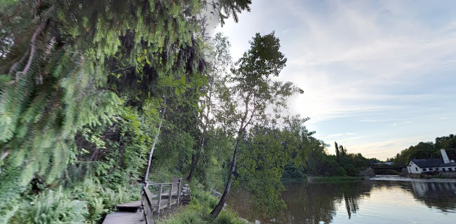 Ravintola Kuninkaan Lohet - Vanha Viilatehdas Open Times