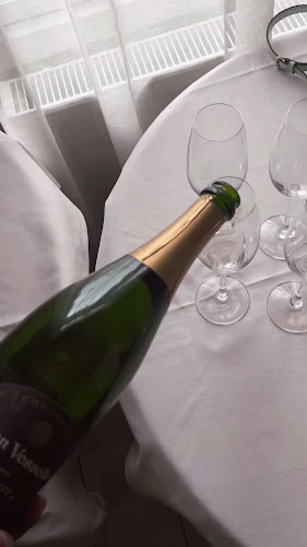 Comentarii opinii despre SicaPelle