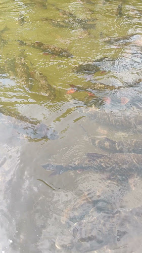 Comentarii opinii despre Piippu Terassikahvila, Vihavuosi