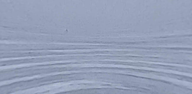 Ravintola Röölänranta - Röölä