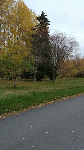 Opinii despre Puistokahvila Makia în Oulu - Ravintola-ala