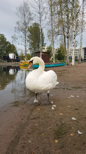 Ravintola Töölönranta - Helsinki