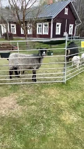 Tiirinkosken kahvila