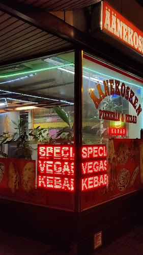 Comentarii opinii despre Äänekosken pizzeria &kebab
