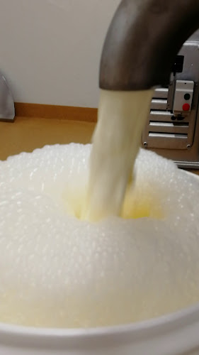 Herkkujuustola Oy - Ravintola-ala