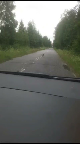 Reviews of Rax Pizzabuffet in Jyväskylä - Ravintola-ala