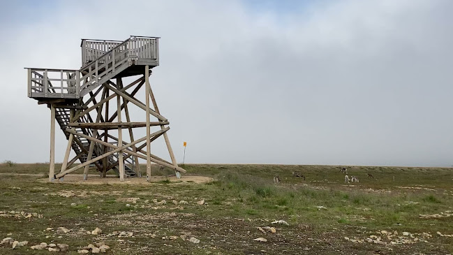 Comments and reviews of Kaunispään Huippu