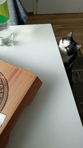 Pizza Service Koivukylä - Vantaa