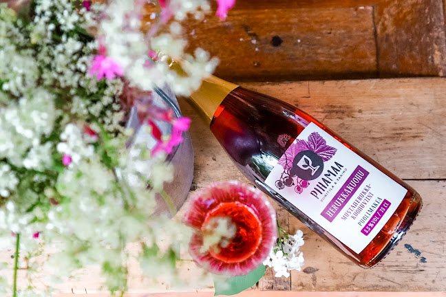 Comentarii opinii despre Heinolan Heila