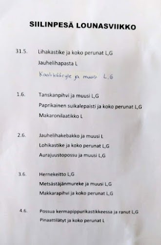 Virttaanraitti 6A, 32560 Virttaa