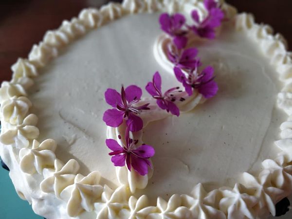 Viitostie 547, 89600 Suomussalmi