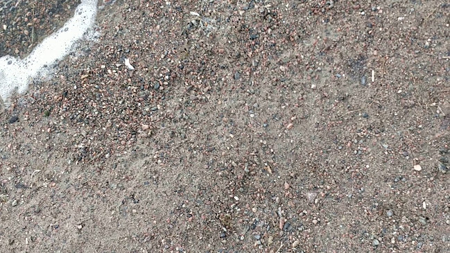 Comentarii opinii despre Ravintola Uunisaari