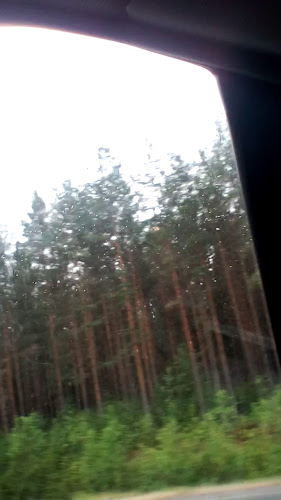 Antiikkikahvila ja teehuone Siiri