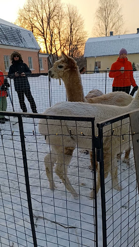 Opinii despre Ravintola Annan Kartano în Helsinki - Ravintola-ala