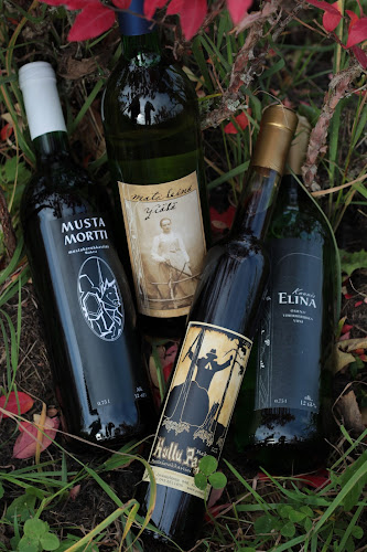 Opinii despre Ravintola Patapirtti în Jämsä - Ravintola-ala