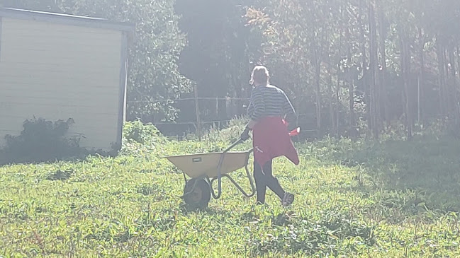 Koivumäen Kartano Oy - Kuopio