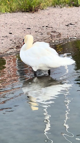 Piano-paviljonki - Ravintola-ala