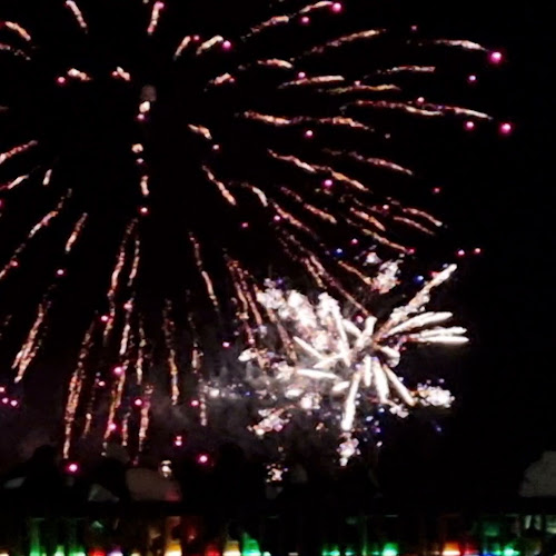 Savonlinnan kauppatori - Ravintola-ala