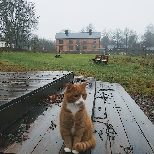 Matildankartano, juurileipomo ja leipomoravintola - Ravintola-ala