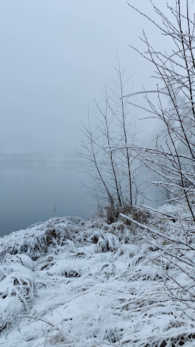 Kartanokahvila Mielihyvin - Tampere