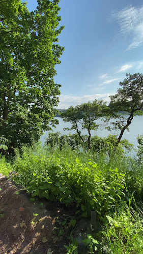 Comentarii opinii despre Art Cafe Taideterassi