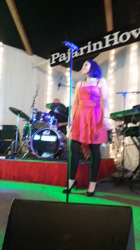 Opinii despre Pajarinhovi în Puhos - Ravintola-ala