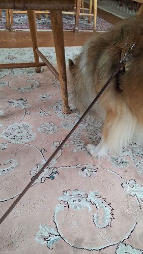 Comments and reviews of Tarvaspää Cafe Zoceria