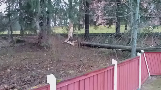 Opinii despre Keuruun tori în Keuruu - Ravintola-ala