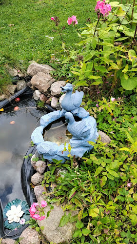 Immulanraitti 14, 08500 Lohja