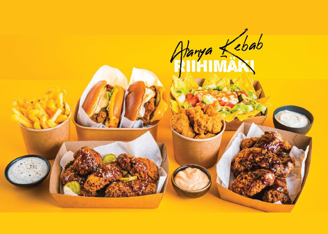 Comentarii opinii despre Alanya Kebab Pizza