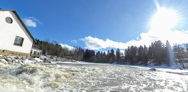 Reviews of Ravintola Kuninkaan Lohet - Vanha Viilatehdas in Vantaa - Ravintola-ala