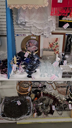 Vintik Oy Vintikki Phone number