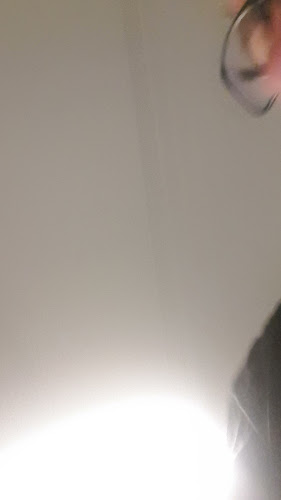 HakunilaKirppis - Vantaa