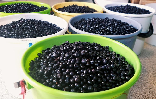 Comentarii opinii despre Natamon-Aahan-Thai