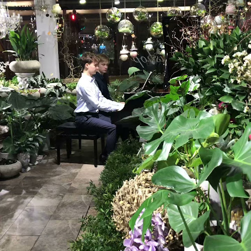 Opinii despre Kukkakauppa Miccishop în Turku - Ravintola-ala