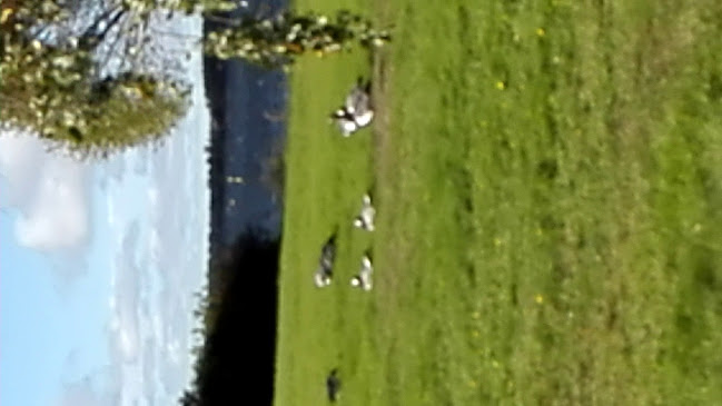 Kahvila Ruiskuhuone - Ravintola-ala