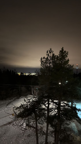 Opinii despre Sky Kitchen & View în Rovaniemi - Ravintola-ala