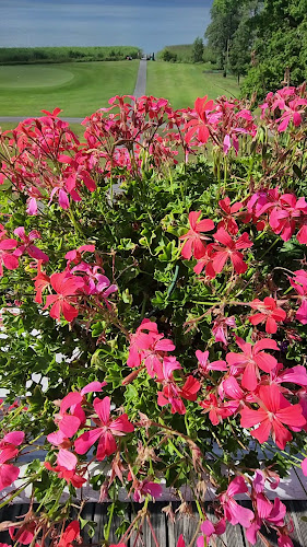 Opinii despre Bodomin Kartano în Espoo - Ravintola-ala