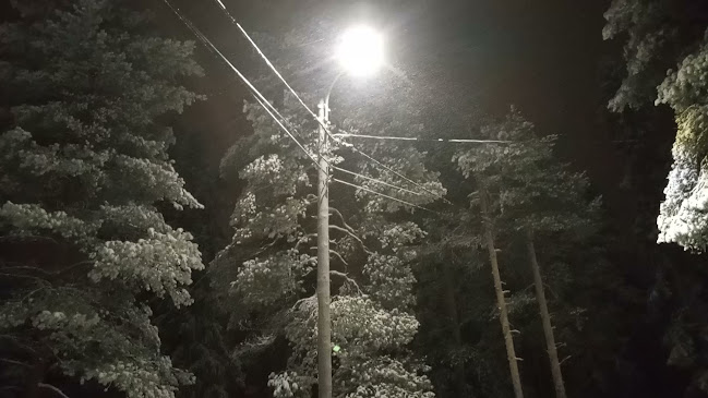 Royal Reindeer Ounasvaara