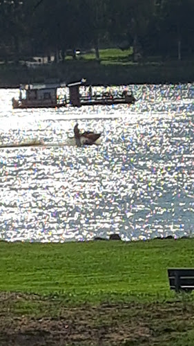 Comentarii opinii despre Valdemari